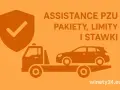 PZU assistance: Holowanie 150 km? Sprawdź limity i uniknij dopłat!