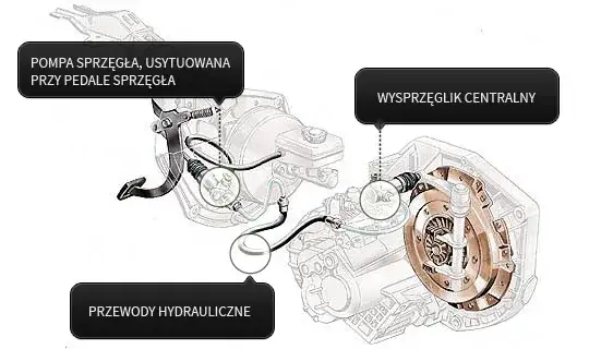 wysprzęglik centralny budowa schemat